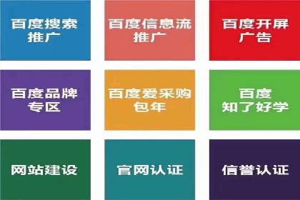 成功SEM服务案例分析报告